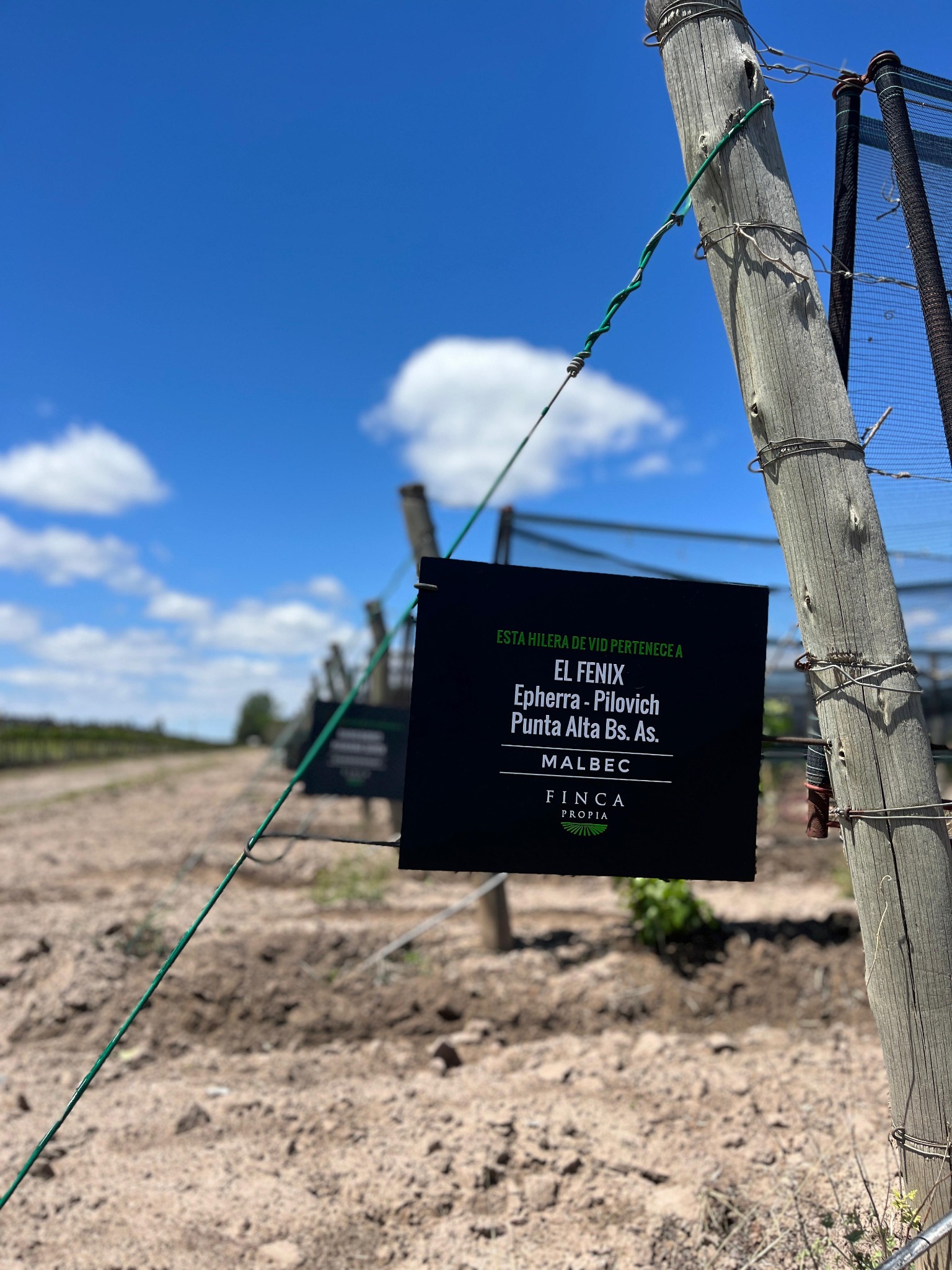 Cartel de una hilera de vid de Finca Propia en La Arboleda