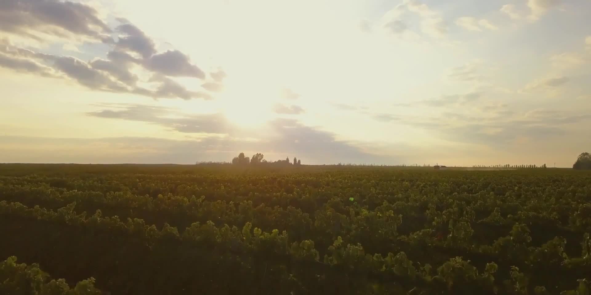 Vista del paisaje de La Arboleda en Tupungato